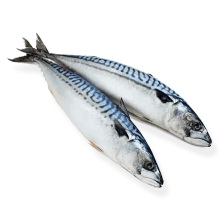 "North Fish" Salted Mackerel 1.2lb
